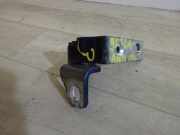 Türscharnier ACHTERDEUR LINKS Ford S-Max Großraumlimousine 2.0 TDCi 16V 140 (QXWA)