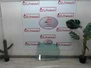 Türscheibe Ra 0000046522969 Fiat Punto II (188) Schrägheck 1.3 JTD Multijet 16V (188.A.9000)