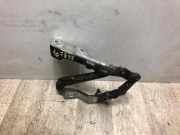 Motorhaubescharnier 1C0823301H Volkswagen New Beetle (1Y7) Cabrio 1.9 TDI (BSW) BSW