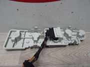 Kennzeichenbeleuchtung RECHTS Audi A2 (8Z0) Schrägheck 1.4 TDI (AMF)