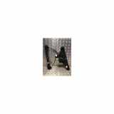 Fensterheber Elektr. Links Vorne 9829043680 Peugeot 208 II (UB/UH/UP) Schrägheck 5-drs 1.2 Vti 12V PureTech 100 (EB2ADT(HNK)) 2023