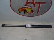 Gasdruckfeder Hinten Volkswagen New Beetle (9C1/9G1) Schrägheck 3-drs 2.0 (AQY) AQY