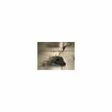 Tank Peugeot 2008 (CU) Großraumlimousine 1.6 e-HDi FAP (DV6DTED(9HP)) 2013