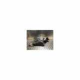 Innenkotflügel Links Vorne 638454930R Renault Kangoo Express (FW) Van 1.5 dCi 75 (K9K-808/608) 2015