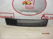 Stoßstangengitter 735455043 Fiat 500C (312) Cabrio 1.2 69 (169.A.4000)