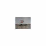 Lenkgetriebe Servolenkung 1623214980 Citroën CITROEN C4 2 PHASE 1 1.6 HDI - 8V TURBO 2011