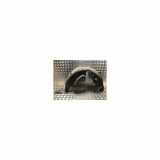 Innenkotflügel Links Hinten 9827215480 Peugeot 208 II (UB/UH/UP) Schrägheck 5-drs 1.2 Vti 12V PureTech 75 (EB2FAD(HMH)) 2020