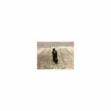 Scheibenwaschpumpe Vorne Citroën C1 Schrägheck 1.2 Vti 82 12V (EB2(HMZ)) 2006