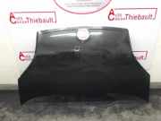 Motorhaube 0000051789394 Fiat Fiorino (225) Van 1.3 JTD 16V Multijet (199.A.9000(Euro 5))