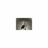 Antenne 9824029980 Citroën C4 Spacetourer (3D/3E) Großraumlimousine 1.2 12V PureTech 130 (EB2DTS(HNY)) 2018