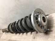 Stoßdämpfer Rechts Hinten BMW 5 serie (G30) Limousine 530e iPerformance (B48-B20A)