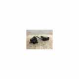 Gaspedalsensor Renault Koleos SUV 2.0 dCi 16V (M9R-832) 2011