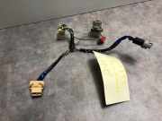 Kennzeichenbeleuchtung RECHTS Toyota Urban Cruiser SUV 1.4 D-4D AWD (1NDTV)