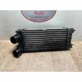Ladeluftkühler 00000384N9 Citroën CITROEN C4 2 PHASE 1 1.6 HDI - 8V TURBO 2011