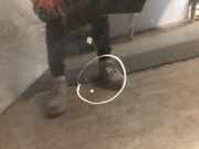 Motorhaube 0000051732277 Lancia Musa Großraumlimousine 1.9 JTD (188.B.2000)