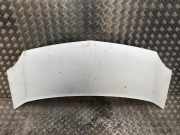Motorhaube 651003220R Renault Kangoo Express (FW) Van 1.5 dCi 70 (K9K-840(Euro 4))