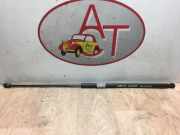 Gasdruckfeder Vorne Volkswagen Golf V (1K1) Schrägheck 1.9 TDI (BKC) BKC