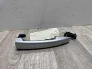 T?rgriff Au?en Links Hinten 9101GH Citro?n C4 Picasso (UD/UE/UF) Gro?raumlimousine 1.6 HDi 16V 110 (DV6TED4(9HZ))