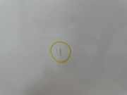 T?r Rechts Vorne H0101BJ0MA Nissan Cherry (N10) Schr?gheck 1.2 (A12)