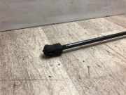 Gasdruckfeder Vorne Volkswagen New Beetle (1Y7) Cabrio 1.9 TDI (BSW) BSW