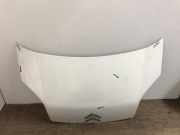 Motorhaube 00007901Q1 Citroën Nemo (AA) Van 1.3 HDi 75 (F13DTE5(FHZ))