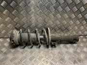 Federbein Links Vorne 6Q0413031BM Volkswagen Polo IV (9N1/2/3) Schr?gheck 1.2 12V (AZQ) AZQ