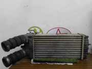 Ladeluftkühler 00000384G5 Citroën Berlingo