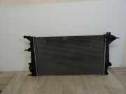 Radiator 214100016R Renault Megane III Berline (BZ) Schrägheck 5-drs 1.9 dCi (F9Q-872(F9Q-P8))