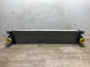 Ladeluftkühler 7701057121 Renault Master II (FD/HD) Van 2.5 dCi 16V 100 (G9U-754)