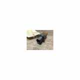 Drucksensor AIRCO 9833078680 Peugeot 3008 I (0U/HU) Großraumlimousine 1.6 HDiF 16V (DV6C(9HD)) 2014