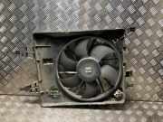 Kühlerlüfter 7701071862 Renault Kangoo Express (FW) Van 1.5 dCi 75 (K9K-608(K9K-B6))