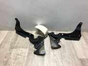 Motorhaubescharnier 7701207260 Renault Espace (JK) Großraumlimousine 2.0 dCi 16V 150 FAP (M9R-B802(Euro 5))