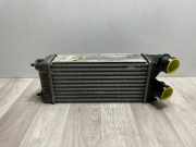 Ladeluftkühler 00000384N9 Citroën C4 Berline (NC) Schrägheck 5-drs 1.6 Hdi 90 (DV6DTED(9HP))