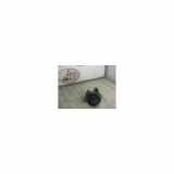 Hupe Renault SCENIC 1 PHASE 2 1.9 DCI - 8V TURBO