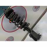 Federbein Rechts Vorne 93860764 Opel Vivaro Van 2.0 CDTI (M9R-786) 1900