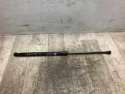 Gasdruckfeder Vorne Volkswagen Polo IV (9N1/2/3) Schrägheck 1.2 12V (AZQ) AZQ