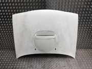 Motorhaube 651007F030 Nissan Terrano II (R20/TR50) Geländewagen 2.7 SE TD (TD27T)