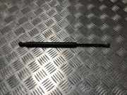 Gasdruckfeder Hinten 51248254281 BMW 3 serie (E46/2) Coupé 323 Ci 24V (M52-B25(256S4))