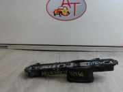 Kennzeichenbeleuchtung RECHTS Renault Espace (JK) Großraumlimousine 2.2 dCi 16V (G9T-742)