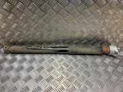 Stoßdämpfer Rechts Hinten 2427663 Ford EcoSport (JK8) SUV 1.0 EcoBoost 12V 125 (M1JU)