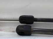 Gasdruckfeder Hinten 8200735264 Dacia Sandero Schrägheck 1.2 16V (D4F-732)