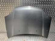 Motorhaube F5100EQ0MM Nissan X-Trail (T30) SUV 2.2 dCi 16V 4x2 (YD22ETi)