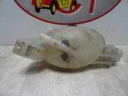 Ausgleichbehälter 217100015R Renault MASTER 3 PHASE 1