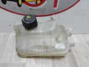 Ausgleichbeh?lter 217100005R Renault Megane III Berline (BZ) Schr?gheck 5-drs 1.5 dCi 110 (K9K-836(K9K-J8))