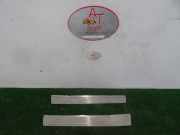 Trittbrett Citroën C4 Picasso (UD/UE/UF) Großraumlimousine 1.6 HDi 16V 110 (DV6TED4(9HZ))