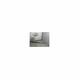Gasdruckfeder Hinten 8177126010 Hyundai Santa Fe I SUV 2.0 CRDi 16V 4x4 (D4EA) 2003