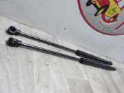 Gasdruckfeder Hinten Renault Twingo III (AH) Schrägheck 5-drs 1.0 SCe 70 12V (H4D-400(H4D-A4))