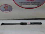 Gasdruckfeder Hinten 13182537 Opel Corsa D Schrägheck 1.3 CDTi 16V ecoFLEX (A13DTC)