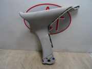 T?rverkleidung Rechts Hinten - 829A15827R Renault Laguna III (BT) Schr?gheck 5-drs 2.0 dCi 16V 150 (M9R-814)