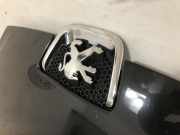 Motorhaube 7901L6 Peugeot 407 (6C/J) Coupé 2.7 HDi V6 24V (DT17TED4(UHZ))